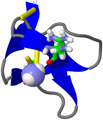 Image NMR Structure - model 1, sites