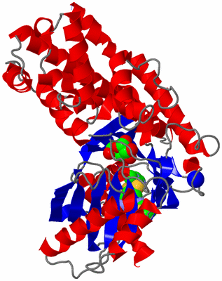 Image Asym./Biol. Unit