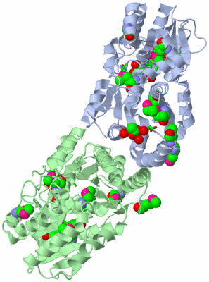 Image Asym./Biol. Unit - sites