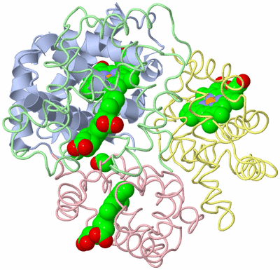 Image Asym./Biol. Unit