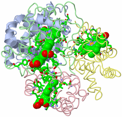 Image Asym./Biol. Unit - sites