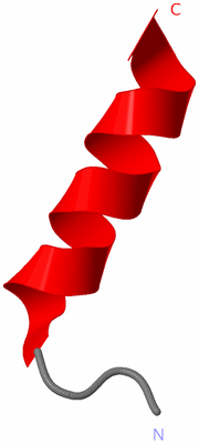 Image NMR Structure - model 1