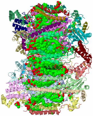 Image Asym./Biol. Unit - sites