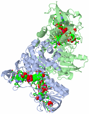 Image Asym./Biol. Unit - sites