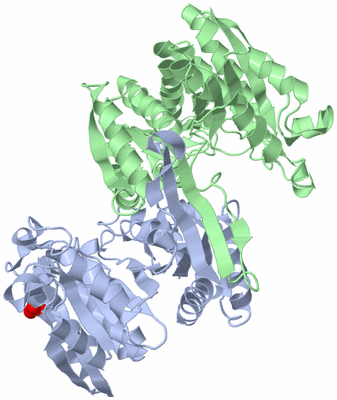 Image Biological Unit 1