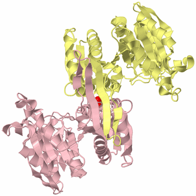 Image Biological Unit 2