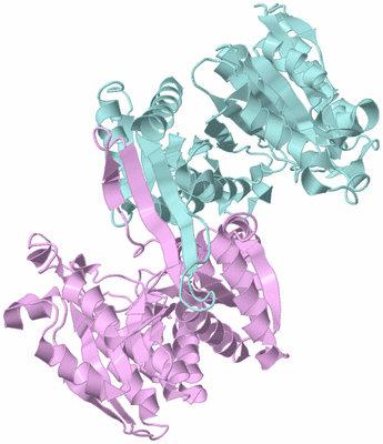 Image Biological Unit 3