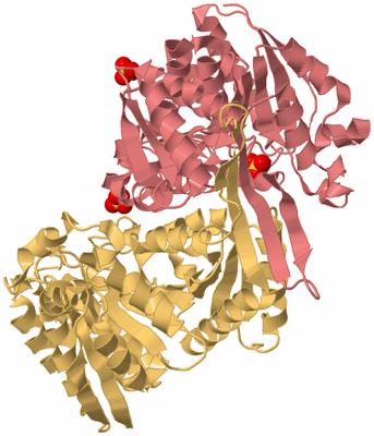 Image Biological Unit 4