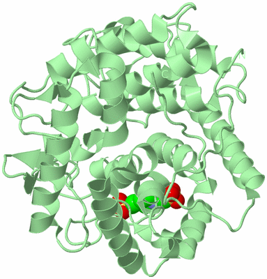 Image Biological Unit 2