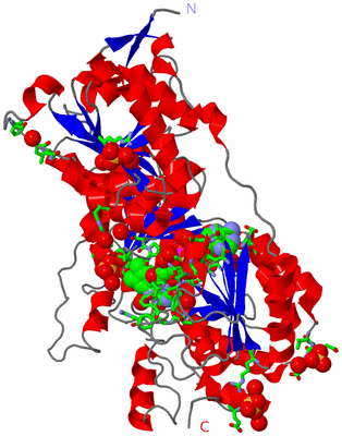 Image Asym. Unit - sites