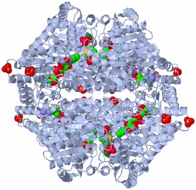 Image Biological Unit 1