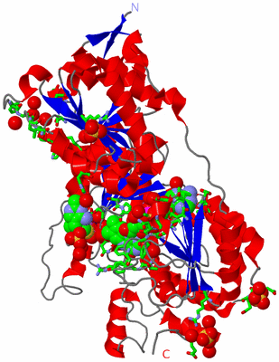 Image Asym. Unit - sites