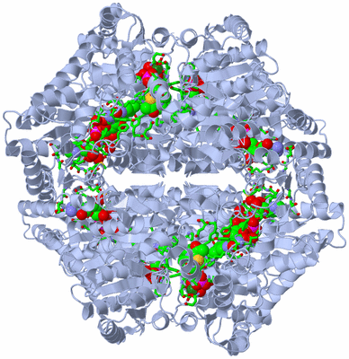 Image Biol. Unit 1 - sites