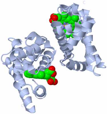 Image Biological Unit 1