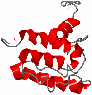 Image NMR Structure - model 1