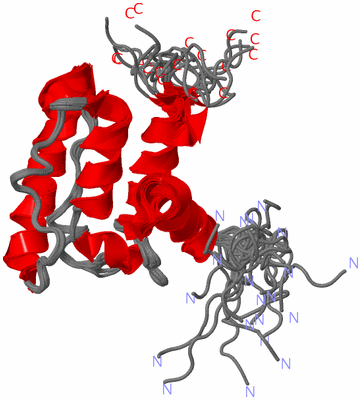 Image NMR Structure - all models