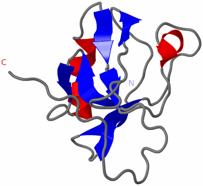 Image NMR Structure - model 1