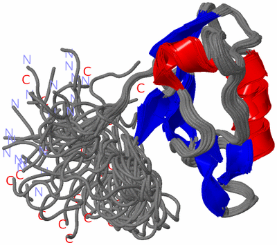 Image NMR Structure - all models