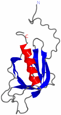 Image NMR Structure - model 1