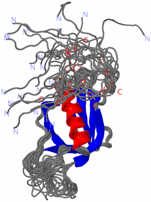 Image NMR Structure - all models