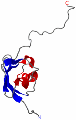 Image NMR Structure - model 1