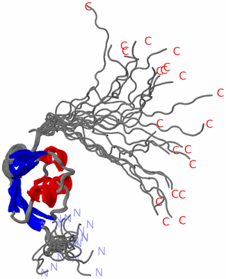 Image NMR Structure - all models