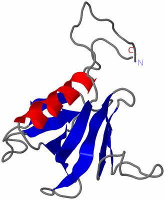 Image NMR Structure - model 1