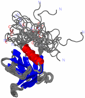 Image NMR Structure - all models