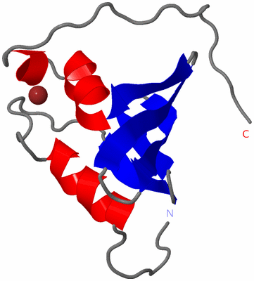 Image NMR Structure - model 1