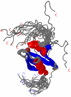 Image NMR Structure - all models