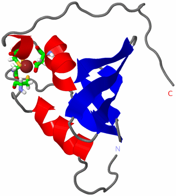 Image NMR Structure - model 1, sites