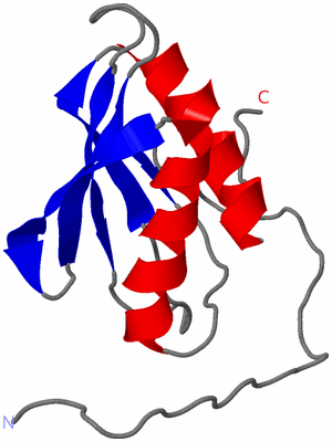 Image NMR Structure - model 1