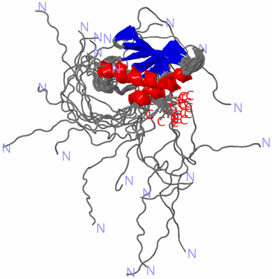 Image NMR Structure - all models