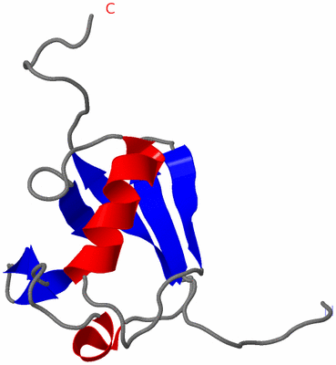 Image NMR Structure - model 1