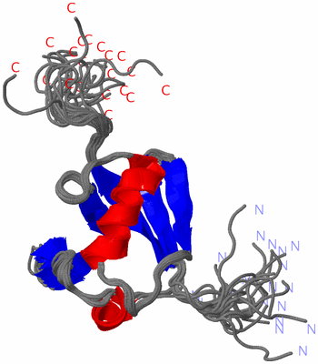 Image NMR Structure - all models