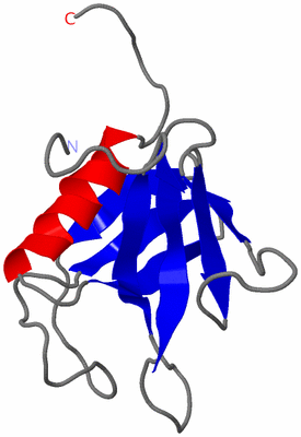 Image NMR Structure - model 1