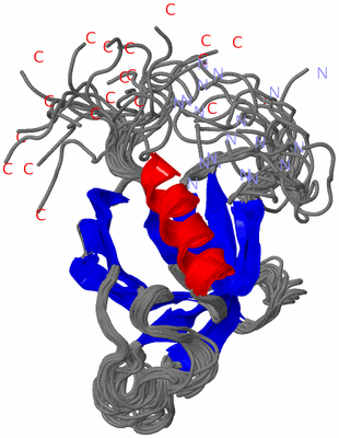 Image NMR Structure - all models