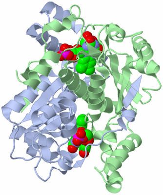Image Asym./Biol. Unit