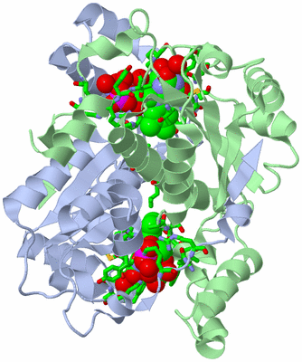 Image Asym./Biol. Unit - sites