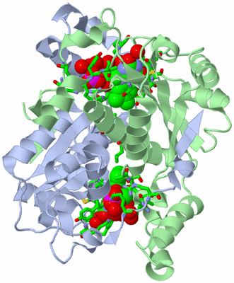 Image Asym./Biol. Unit - sites