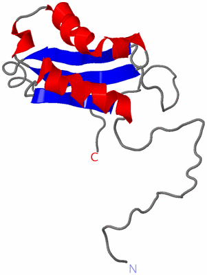 Image NMR Structure - model 1