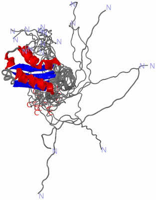 Image NMR Structure - all models