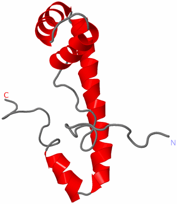 Image NMR Structure - model 1