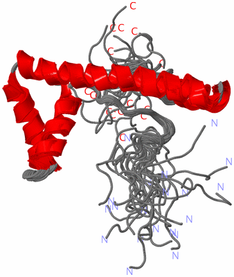 Image NMR Structure - all models