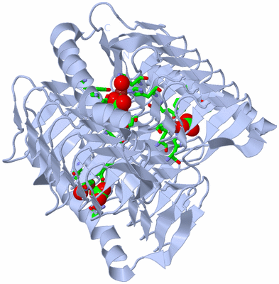 Image Biol. Unit 1 - sites