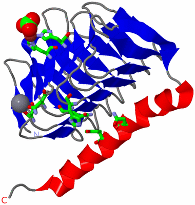 Image Asym. Unit - sites