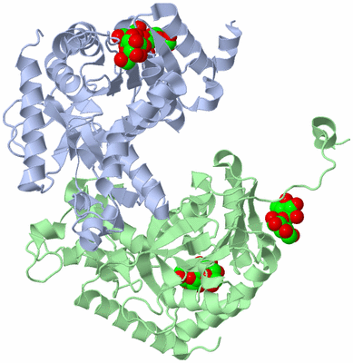 Image Asymmetric Unit