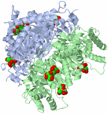 Image Biological Unit 1