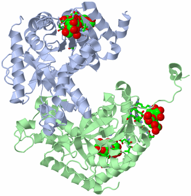 Image Asym. Unit - sites
