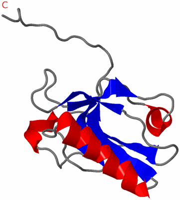 Image NMR Structure - model 1